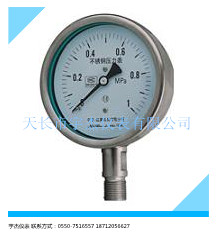 YTS-100耐腐耐高温压力表